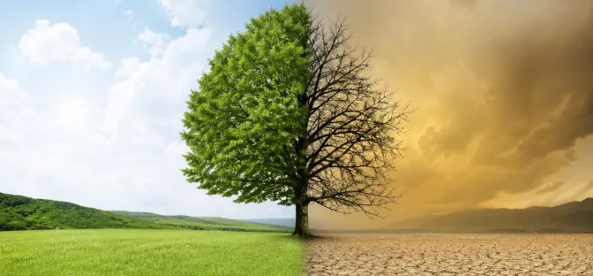 AP-Environmental-Science